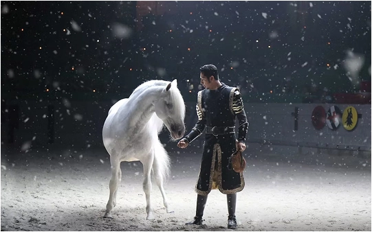 knight on the horse