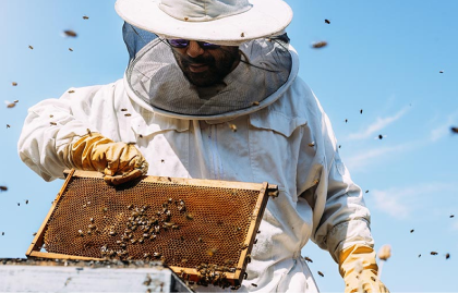 beekeeper